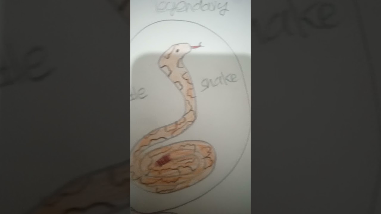 desert egg pet concepts for adopt me!