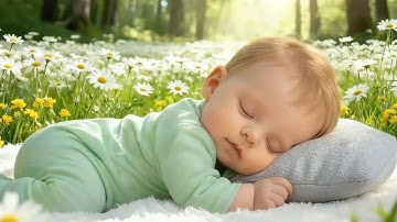 Beat Insomnia in 3 Minutes 🌙 Baby Sleep Music | Mozart & Brahms Lullaby for Sweet Dream 💕