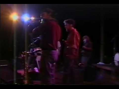 The Joy We Saved - Mary Adam 12 at Comfest 1994