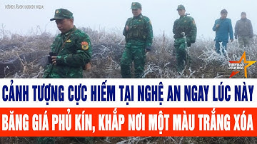 Cảnh tượng cực hiếm tại Nghệ An ngay lúc này, băng giá phủ kín, khắp nơi một màu trắng xóa