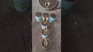 satisfying Sand Cake Making process Refreshing Sand with Sand video #viral #asmr #shorts