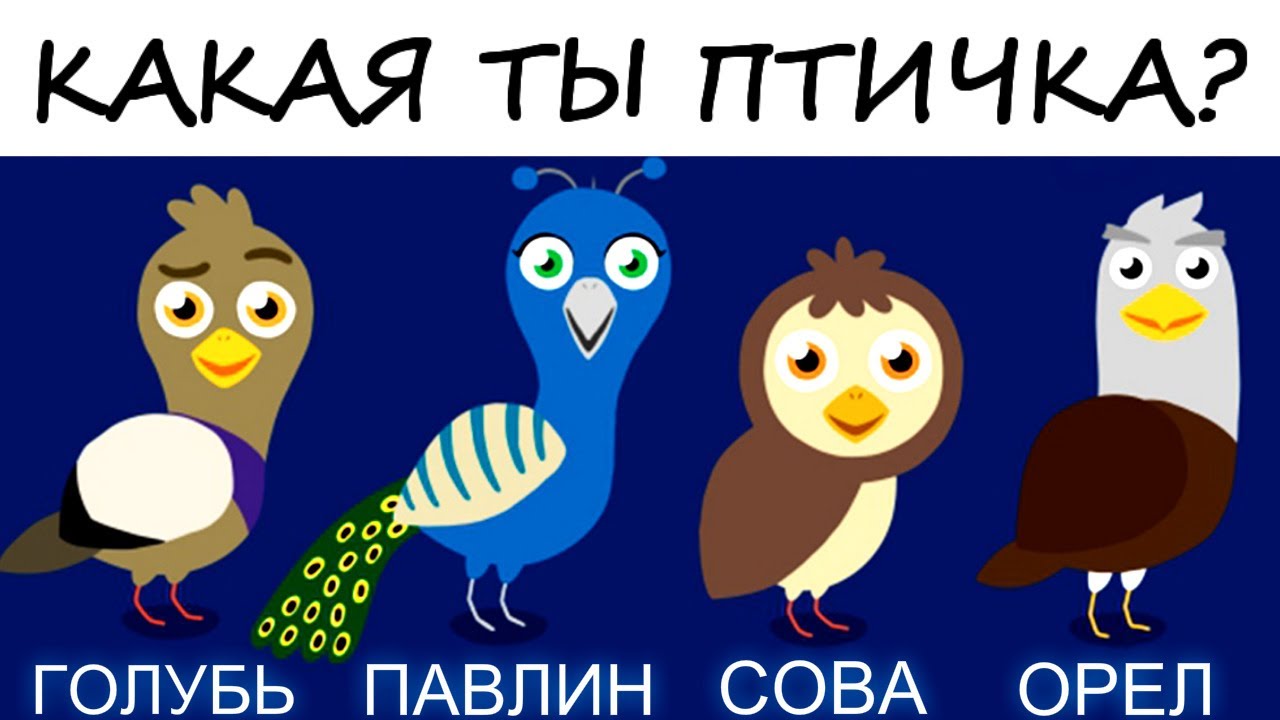 Типы покупателей сова дельфин пантера павлин