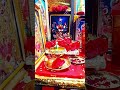 శ్యామల నవరాత్రి #lalithasahasram #chanting #ytshorts #minivlog #miniutuber #dailyvlog #spiritual
