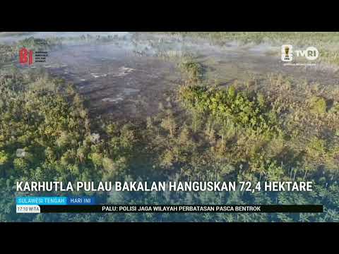 STHI - Banggai: Bakalan Island Wildfire Scorches 72.4 Hectares