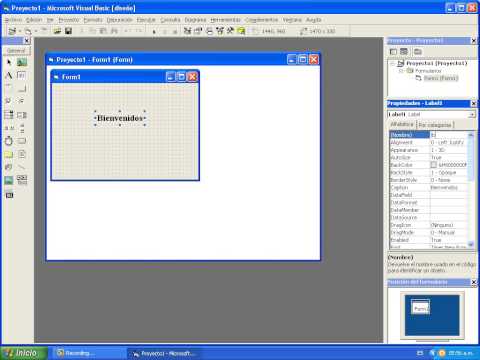 Tutorial Practico de Visual Basic - Label (Propiedades)