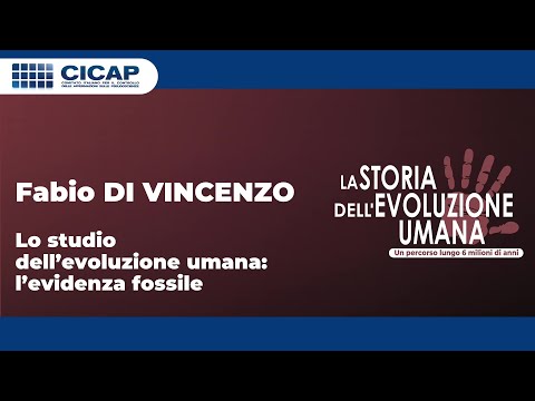 Video: Cosa sono i fossili Cosa ci dicono del processo di evoluzione?