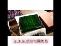 #ボトムズアップギターズ オリジナル Quilt ed Maple Wallet / sciva / ギター職人が作る本物の木を使った財布 /