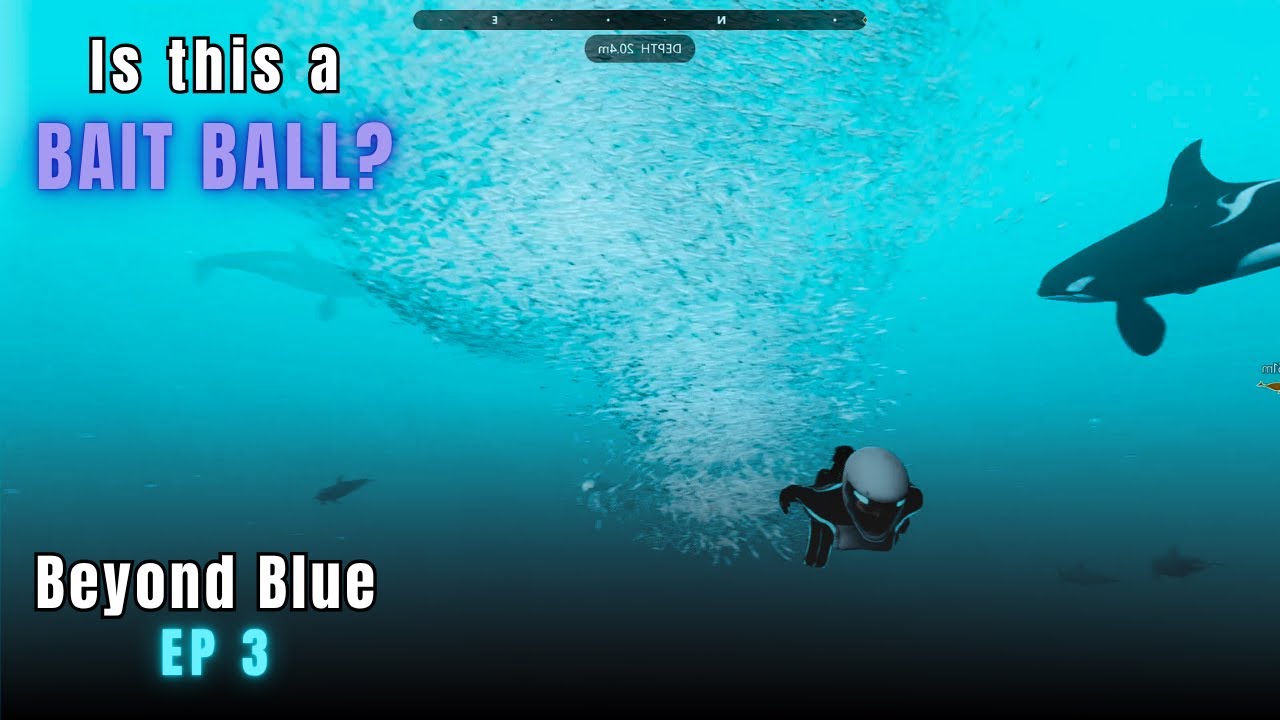 I Tried Talking to a Baby Whale 🐋 | Beyond Blue Ep.3