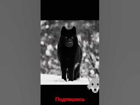 про жизнь человека - YouTube