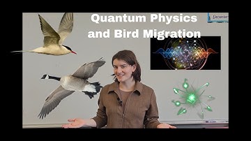 Quantum Entanglement in Bird Migration