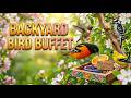 Spring Bird Feeding Guide: Jelly, Calcium & Hummingbird Nectar