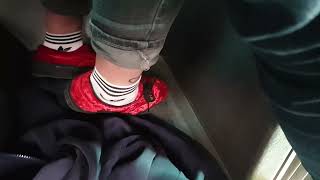 Red Vans On Bus Jacket Trample