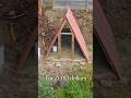 DIY $0 A-Frame Chicken Coop from Recycled Materials π