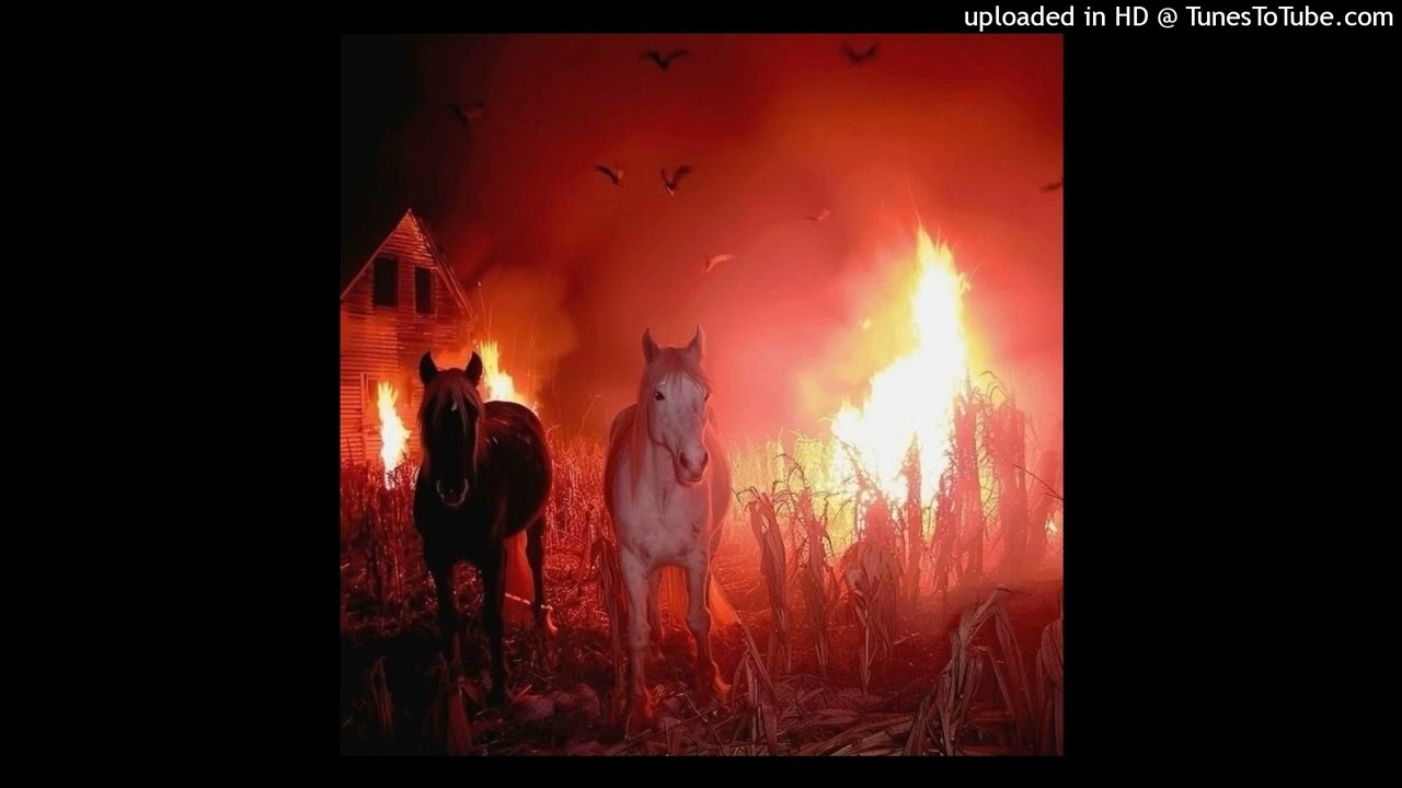 [FREE] HARDSTYLE x TECHNO AC1D x SWITCH TYPE BEAT - 