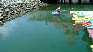 DSCF8275.AVI
