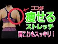 背中痩せ！肩こり解消ストレッチ♪背中デブから背中美人へ！