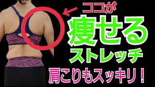 背中痩せ！肩こり解消ストレッチ♪背中デブから背中美人へ！