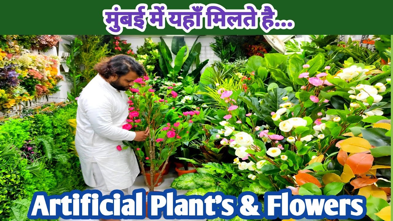 Discover the Green Oasis: Mumbai's Best Artificial Plant Shop Revealed! 🌿  @LifeDhamaal