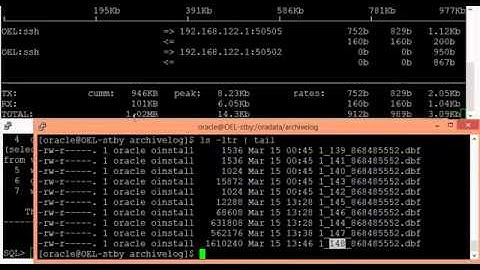 Dataguard - Redo/Archive log shipping at process and network level