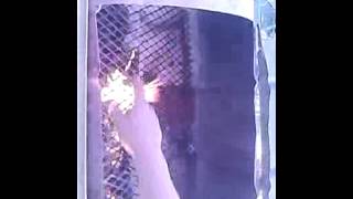 Ghetto grill in small-town