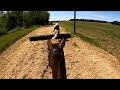Grove & Rufford Hunt Farm Ride - Eve & Thomas