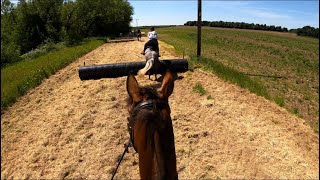 Grove & Rufford Hunt Farm Ride - Eve & Thomas