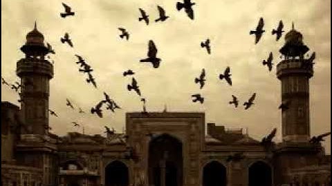 سورة التوبة تلاوة خاشعة بصوت الشيخ ماهر المعيقلي