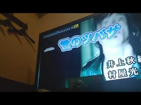 独身男性が本気で歌う雪のツバサ（銀魂ED3）