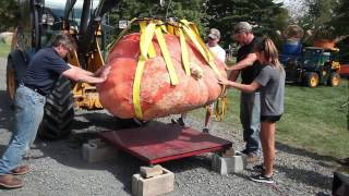 See Pumpkin Picking Hilltown PA (215) 230-7170 The Market at Del Val Hilltown PA