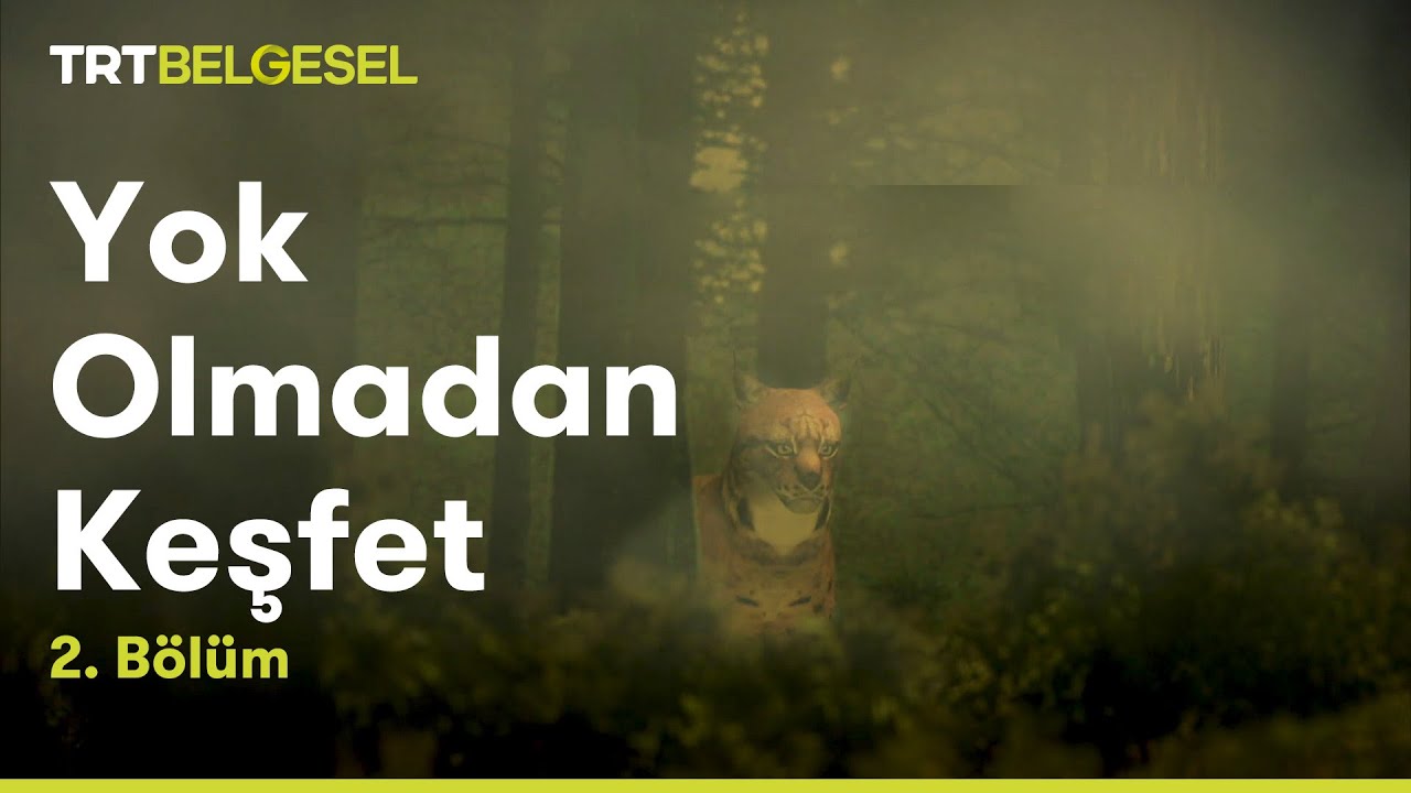 Yok Olmadan Keşfet