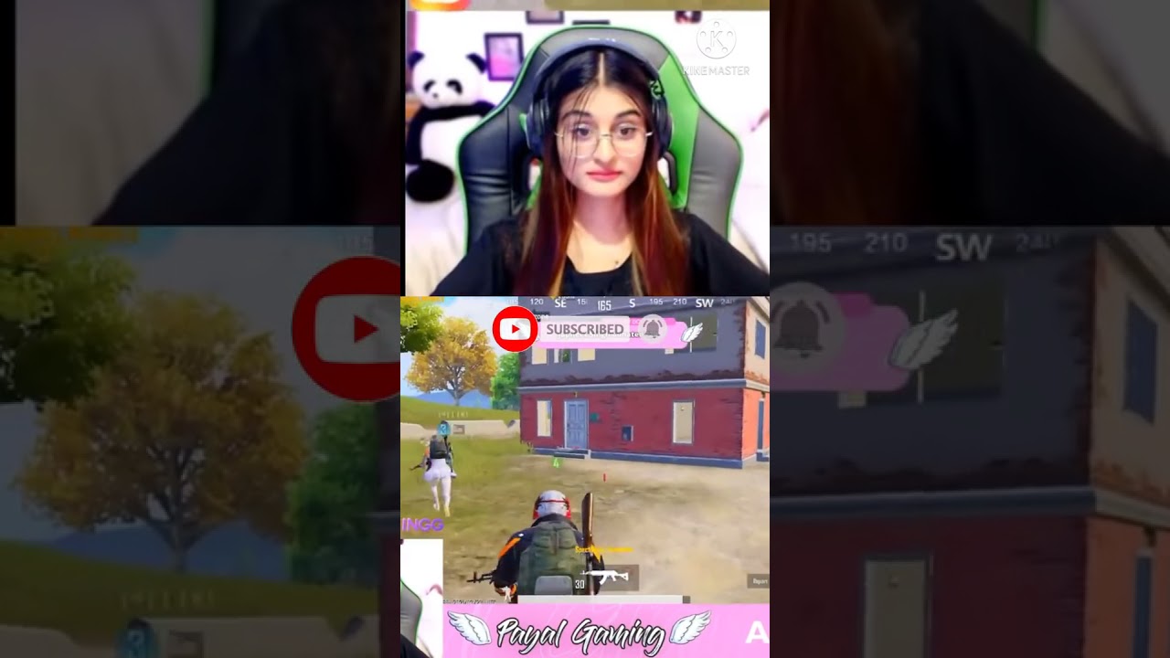 Payal Gaming Proposed ❤️ By a Random player on Live Stream 😂😂😂