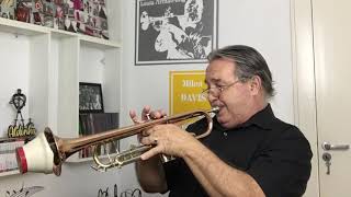 I Have Nothing @aldinhotrompete interpreta Whitney Houston com solo instrumental