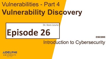 Vulnerability Discovery