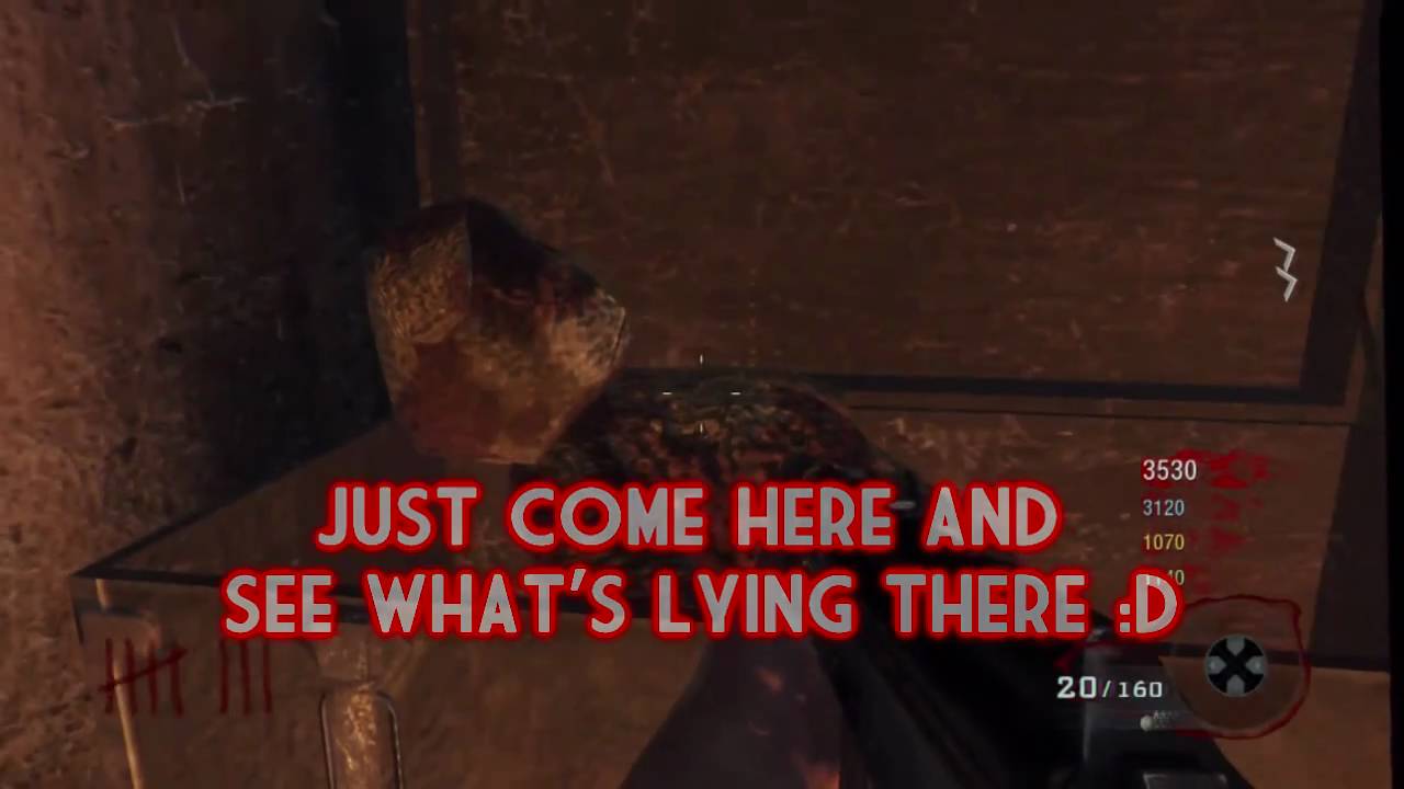 Call of Duty: Black Ops Zombies - Hidden Teddybear Easter Egg