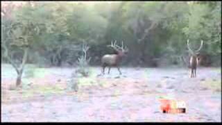 DAN VS WILD Grand Junction