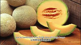 Novkvalitaj produktivaj fortoj en Hami, Xinjiang