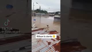 wilson!!! lo siento!!! #risas #funnyvideo #humor