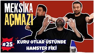 'Kuru Otlar Üstünde Bir Hamster' | Meksika Açmazı #25