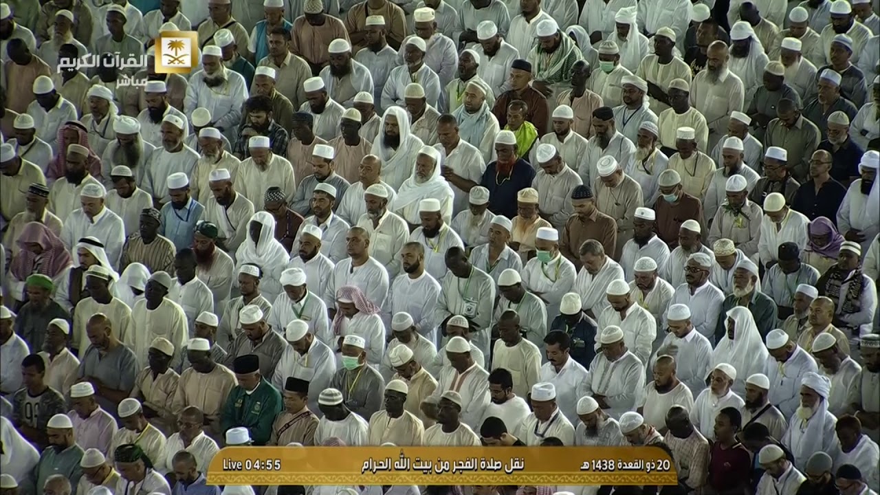 تلاوة تحبيرية إبداعية من سورتي النساء والزمر للشيخ بندر بليلة فجر السبت 20-11-1438