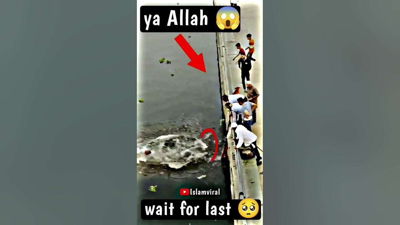 Miracle of Allah 🥺🤯 || Allah hu Akbar 😭 # shorts #islam