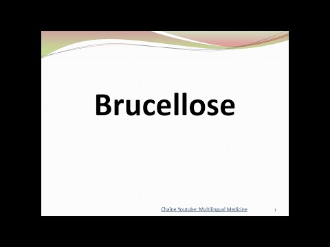 Brucellose