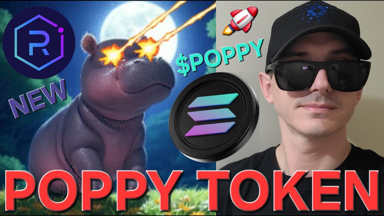 $POPPY - POPPY TOKEN CRYPTO COIN HOW TO BUY PYGMY HIPPO MEMECOIN ZOO SOLANA  RAYDIUM SOL JUPITER MEME