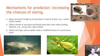 Predation (chapter 12)