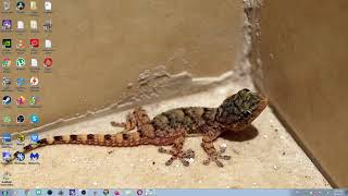 Computer Wake Up By Itself From Sleep Mode Here Why