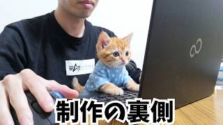 普段の動画制作の過程を見せます