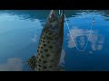 Real VR Fishing - Catching the Duskspeck Trout