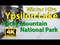 Virtual Hike - Winter on Ypsilon Lake Trail | Rocky Mountain National Park, Colorado | Ambient Sound