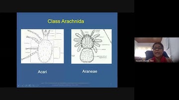 Introduction to Acarology  - Video lecture