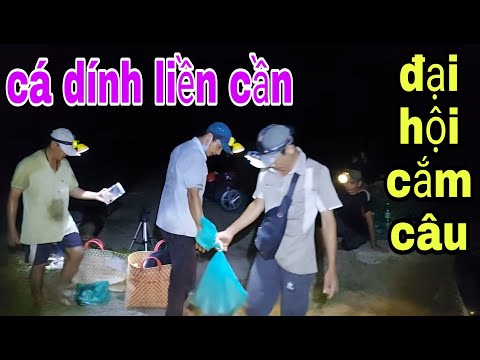 Video Qua Long An Cắm Câu Cá Lóc Kinh Điển Đang Gỡ Cá Cần... - youtube