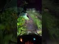 nyasar di sekitar hutan gunung kelud #gunungkelud #googlemaps #nyasar